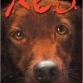 Red di Jack Ketchum