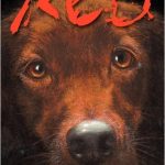 Red di Jack Ketchum