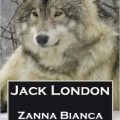 Zanna Bianca di Jack London